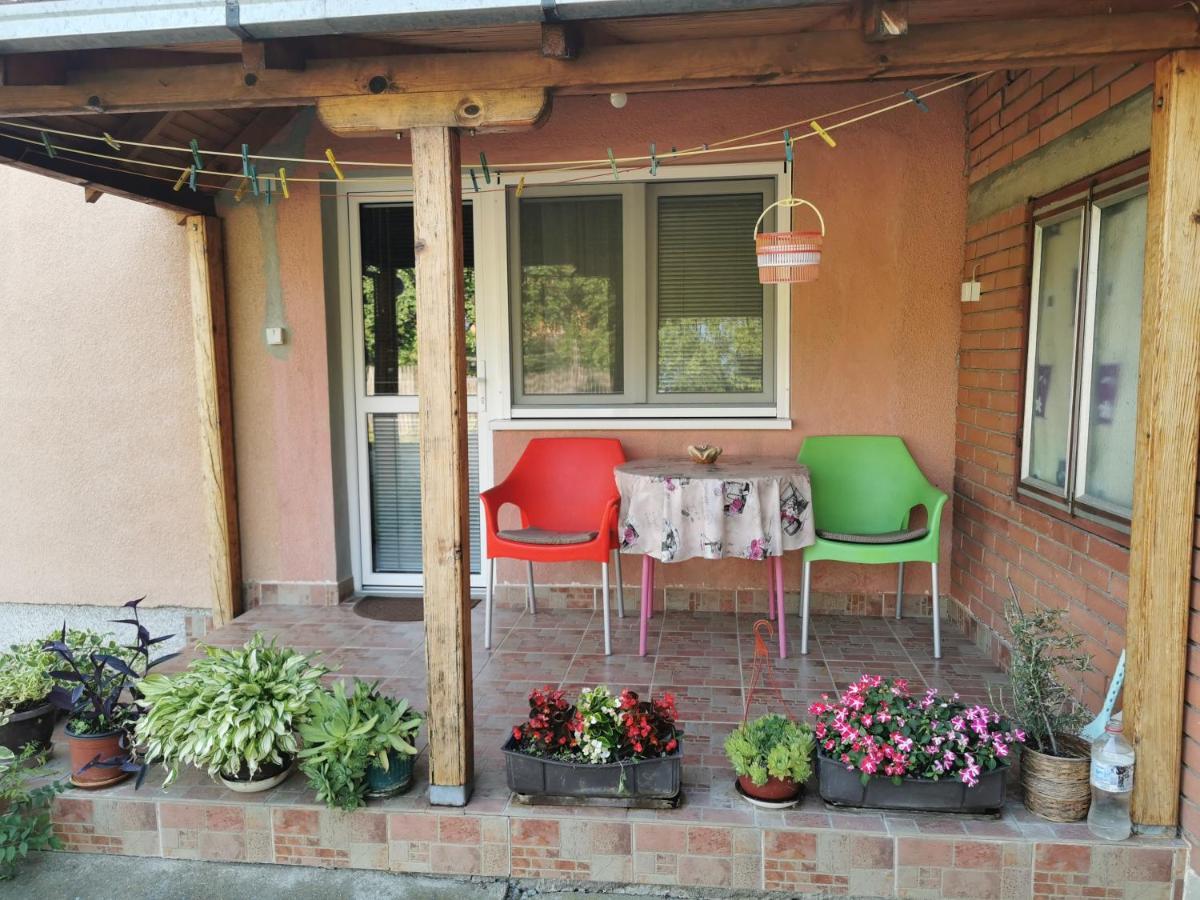 ואליג'בו Apartments Domacinstvo Nikolic מראה חיצוני תמונה
