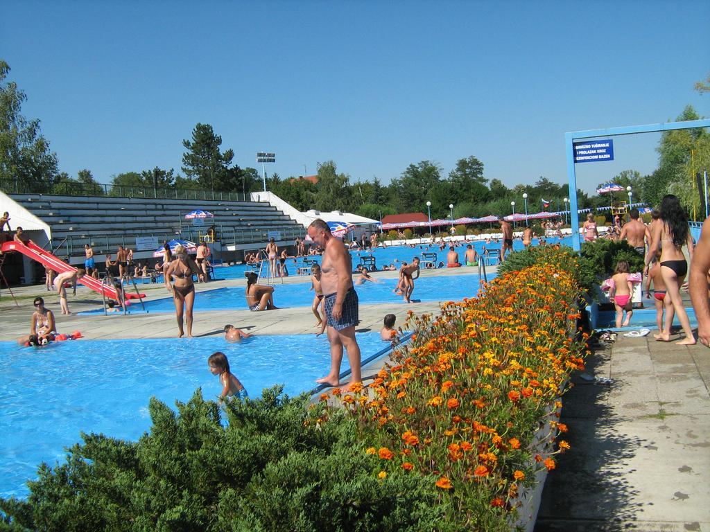 ואליג'בו Apartments Domacinstvo Nikolic מראה חיצוני תמונה